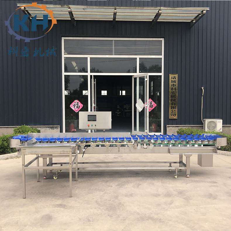 厂家牡蛎螃蟹鲜虾重量分选机小龙虾自动分拣机水果在线动态称重机,清洗/食品/商业设备,选果机/分选机,淘宝优惠券,粉丝福利购,淘宝优惠卷