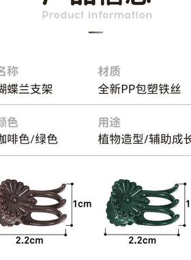 塑料园艺固定夹蝴蝶兰藤蔓花枝专用绿植夹持固定配件