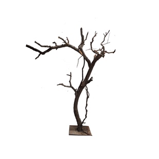 天然树干防虫装饰树漫咖啡枯树实木橱窗道具树干防腐木干枝真树干