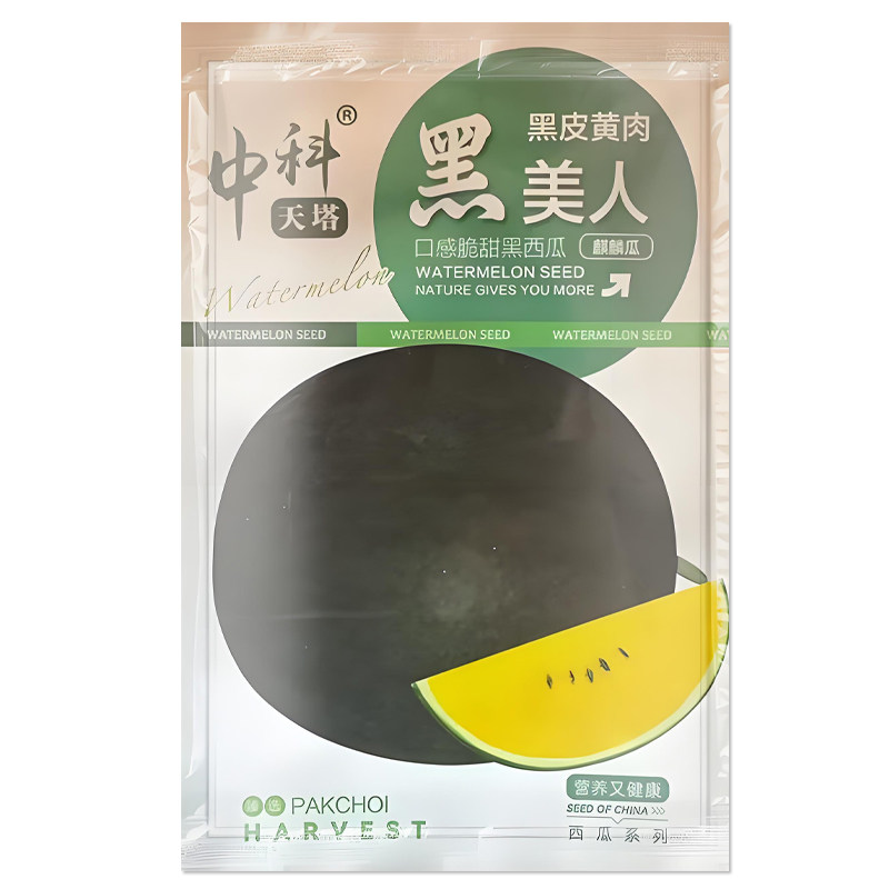 黑美人西瓜种子黑皮黄肉