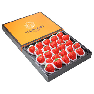 现货 礼盒装2/4斤精品大果丹东草莓99巧克力牛奶新鲜水果孕妇现摘