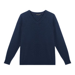 ZB/珍贝秋冬新款品专柜商场同款山羊绒可机洗V领男衫百搭色/10228