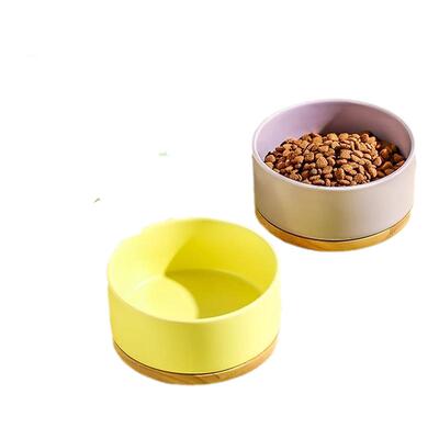 宠物恒温猫咪饮水机保温水碗