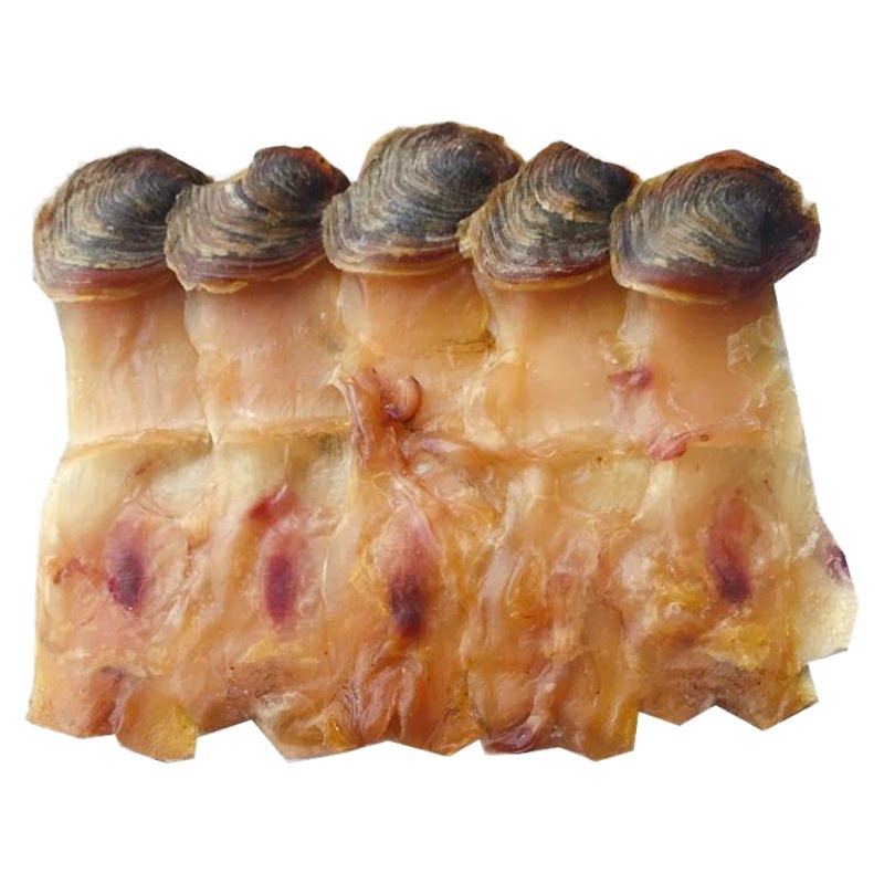 港式带壳响螺片鲜甜美味
