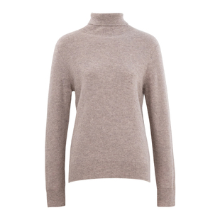 HONRN/红人长袖羊毛衣高领套头打底针织衫上衣女秋冬HK59OM036