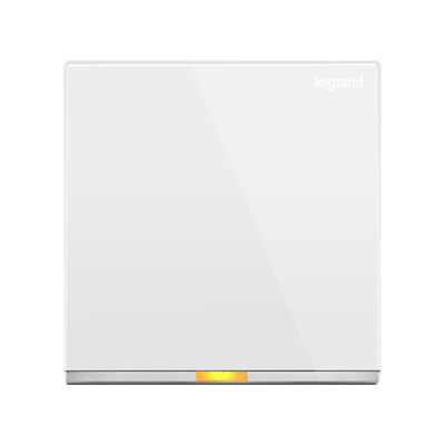 罗格朗逸景带双极开关空调