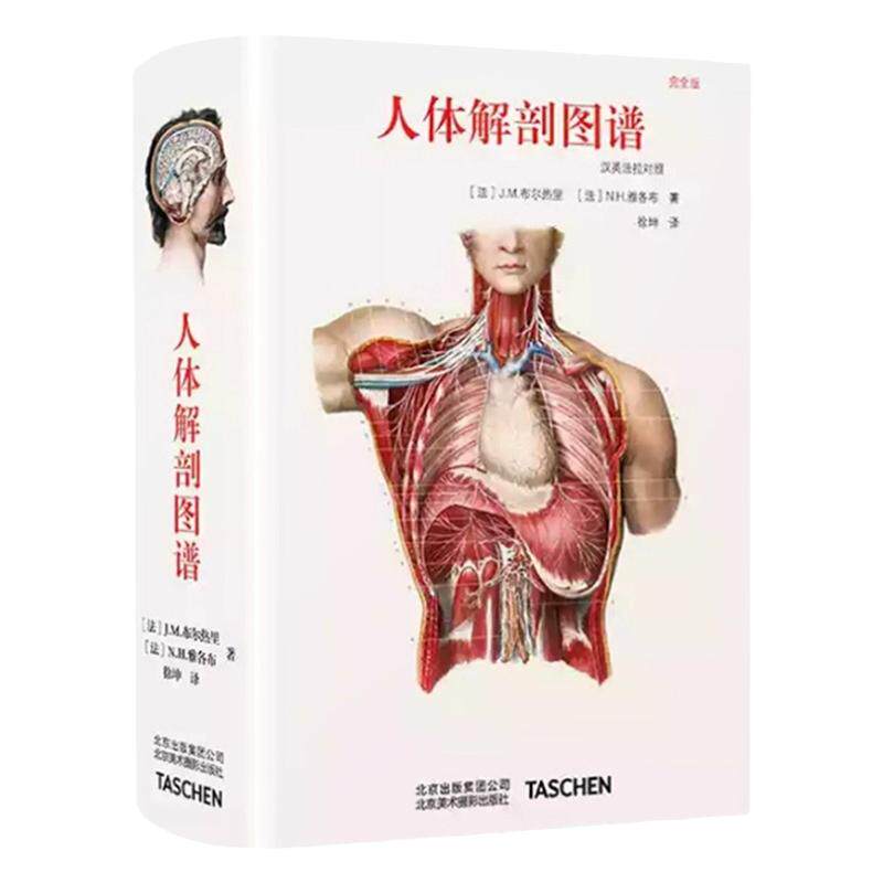 人体解剖图谱人体手绘手稿画册