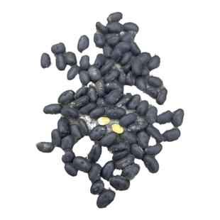 小黑豆 农家自种原始老品种肾形黄芯药用黄心黑豆雄黑豆1斤真空装