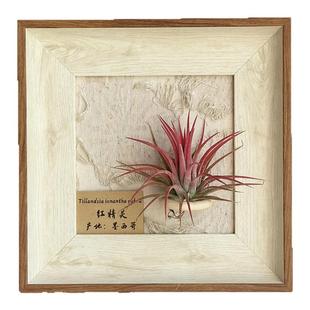 ins空气凤梨套餐懒人现代装饰画框复古桌面室内墙上白木色相框5寸