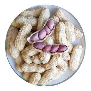 龙岩花生水煮湿烤红皮紫衣原味五香福建特产好吃香脆美味不上火