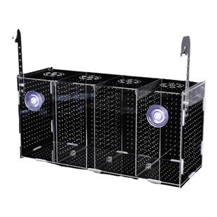 鱼缸隔离盒水族箱亚克力鱼缸隔离盒孵化盒繁殖盒隔板箱小鱼苗隔离