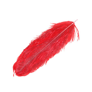 北方魔术道具 羽毛变弹棒 红白蓝色鸵鸟毛 棒变羽毛 弹棒自备舞台