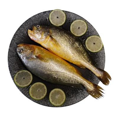 道良尚品东极岛半野生大黄鱼