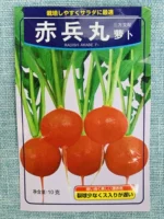 Семена редиса Чибинвань, 10 г, трехстороннее спаривание, японские импортные семена