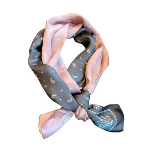 春季韩国粉灰拼色腰果花百搭装饰领巾真丝围巾发带桑蚕丝长条丝巾