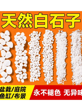小白石子庭院造景多肉装饰铺面石