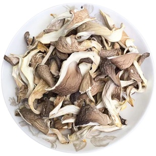 平菇干货食用北风菌干蘑菇片农家山珍白菇营养凤尾菇新货散装500g