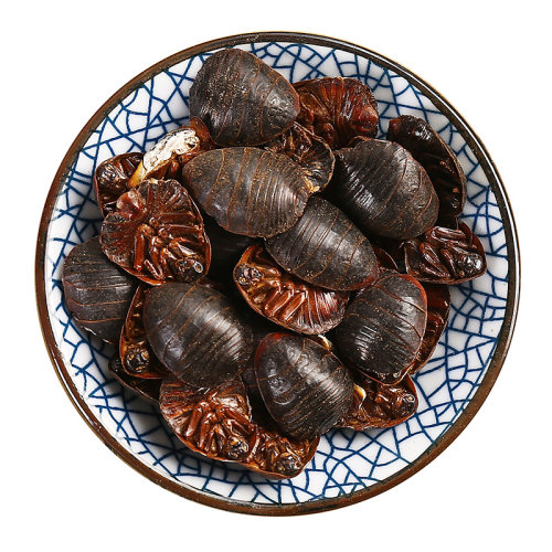京皖 土鳖虫10g 土元 中药饮片店 中药材抓配 官方旗舰店正品