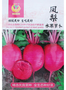 蔬菜水果萝卜秋季红心特大种子