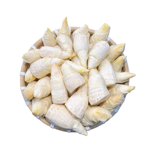 【生肉】浙江冬笋笋肉新鲜冬笋现剥鲜笋肉抽真空锁鲜加冰临安发货