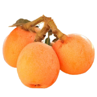 超甜特级大五星枇杷5斤礼盒装