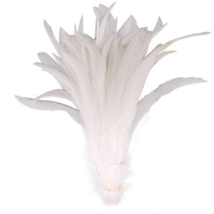 天然鸡毛优质白色公鸡尾毛DIY手工装饰服装披肩辅料饰品配件羽毛