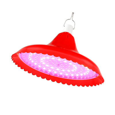 夜市摆摊专用熟食烧烤充电灯应急