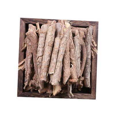 五加皮中药材南五加皮