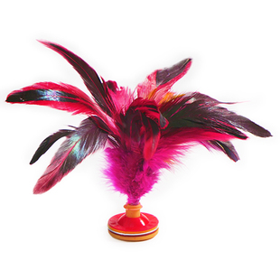 毽子儿童小学生幼儿园踢毽子鸡毛毽子初学者耐踢毽球运动比赛专用