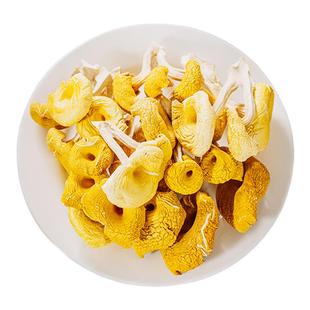 鸡油菌干货云南特产蘑菇新鲜干黄丝菌菌菇黄金菇榆黄菇煲汤料500g