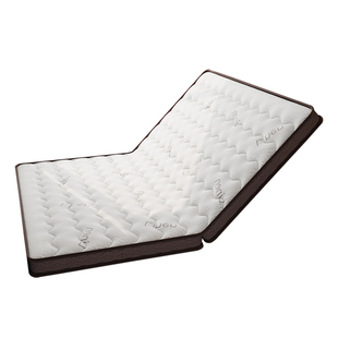 床垫硬垫天然纯椰棕榈垫子10CM折叠儿童床垫偏硬护脊专用定制硬垫