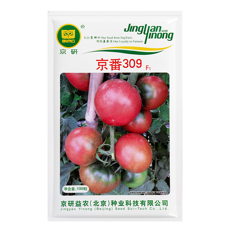 北京农科院番茄种子草莓水果铁皮柿子普罗旺斯毛粉沙瓤大西红柿籽