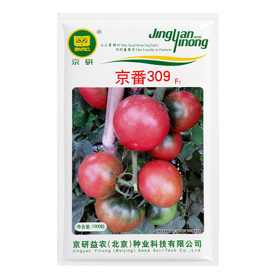 北京农科院草莓水果番茄大西红柿