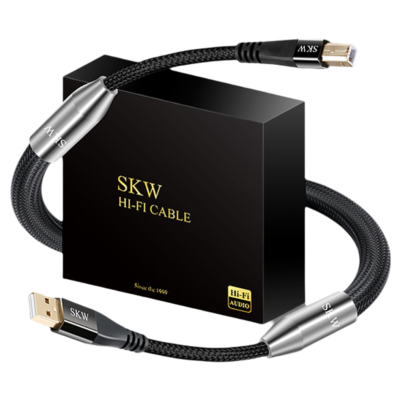 SKW旗舰USB-A转B音频线银DAC线