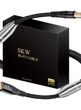 SKW旗舰USB-A转B音频线银DAC线