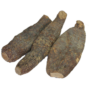 新疆和田肉苁蓉整根红柳大芸泡酒泡茶新疆沙漠大芸500g于田县直发