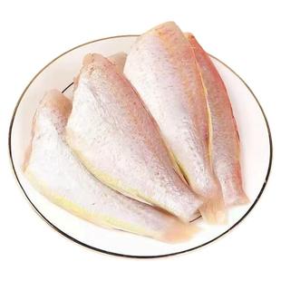 三去金线鱼急冻金线鱼新鲜海鱼批发商用无冰金线鱼红杉鱼整箱顺丰