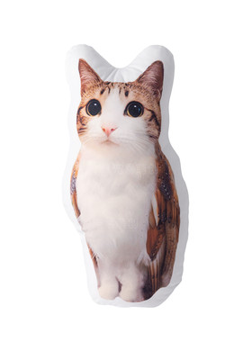 真猫头鹰抱枕Meme抽象公仔玩偶