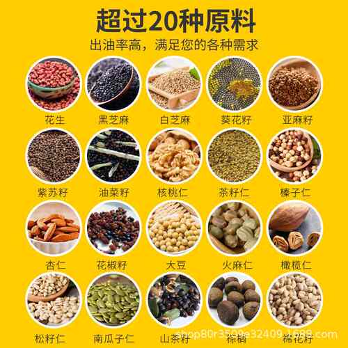 220V/110V商用榨油机中小型家用螺旋炸油机全自动油坊 D06 oil pr