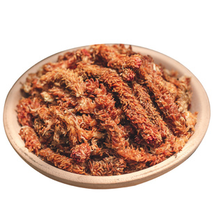 种花王大爷智利水苔毛毛虫苔藓蝴蝶兰兰花文心兰石斛心兰专用土