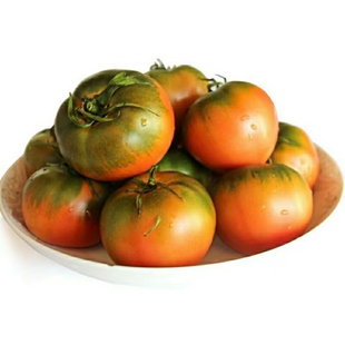 正宗草莓番茄铁皮柿子西红柿新鲜当季水果露天种植3-5斤现摘包邮