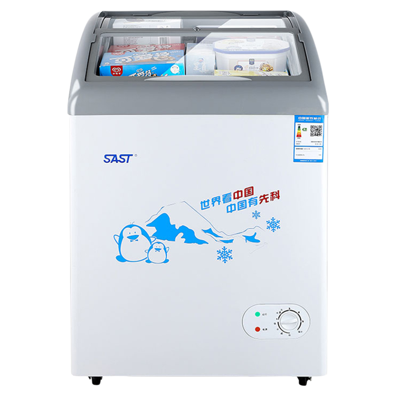 先科商用冰柜冷藏冷冻雪糕展示柜