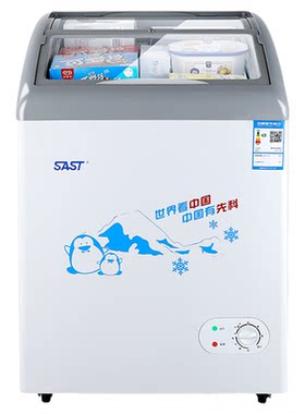 先科商用冰柜冷藏冷冻雪糕展示柜