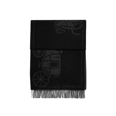 蔻驰蔻驰羊毛羊绒围巾男女同款