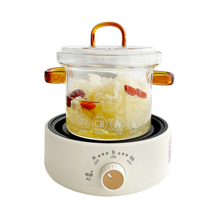 小型养生电炖杯套装高硼硅玻璃煮茶壶办公室养生杯学生宿舍电陶炉