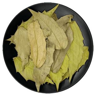 十大功劳叶中药材500g十大功劳功劳叶大片新鲜干货可打粉非枸骨叶