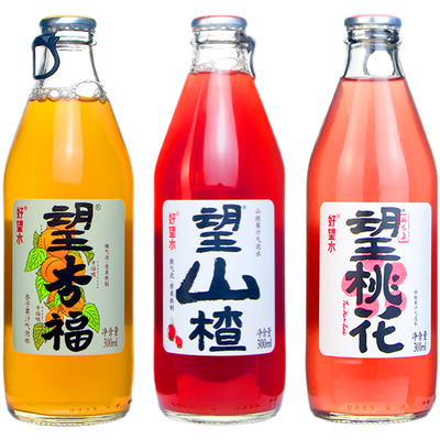 望杏福果汁解腻瓶装碳酸饮料