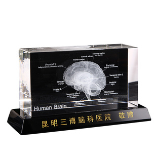 水晶大脑人体器官3D激光内雕三维立体模型定制做医学教材摆件解剖