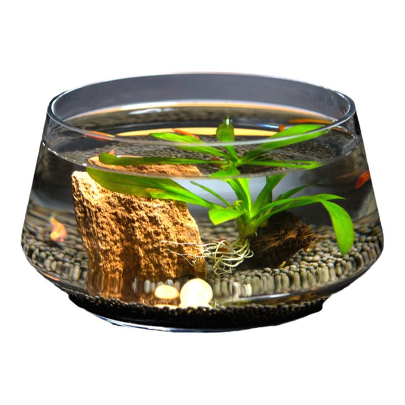 玻璃魚缸客廳小型烏龜風(fēng)水招財(cái)