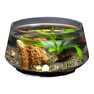 玻璃鱼缸客厅小型乌龟缸风水招财家用桌面生态水族箱金鱼缸玻璃缸